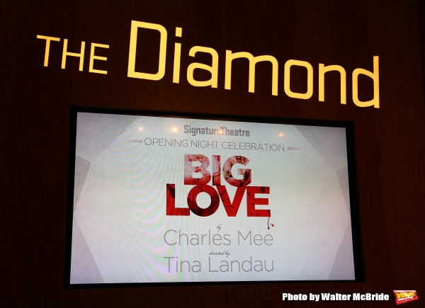 Photo Coverage: Signature Theatre's BIG LOVE, Starring Bobby Steggert & Rebecca Naomi Jones, Opens Off-Broadway! Image