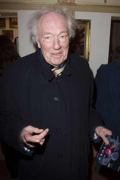 Photo Flash: First Look at Opening Night Party of West End's THE NETHER Image