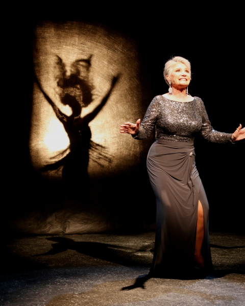 Photo Flash: First Look at Theater Works' AZ Premiere of FOLLIES Image