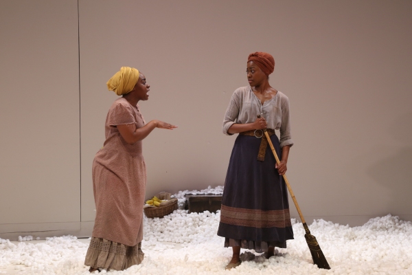 Photo Flash: First Look at Soho Rep.'s AN OCTOROON, Opening Tonight Image