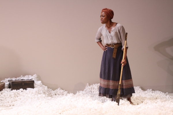 Photo Flash: First Look at Soho Rep.'s AN OCTOROON, Opening Tonight Image