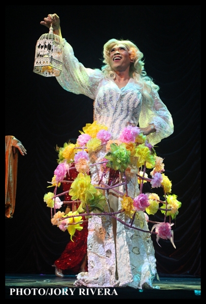 Photo Coverage: LA CAGE AUX FOLLES by 9 Works Theatrical Image