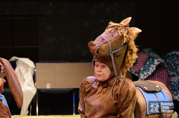 Photo Flash: First Look at Raleigh Little Theatre's THE VELVETEEN RABBIT 