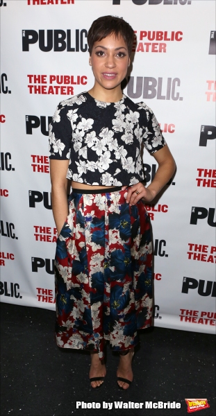 Photo Coverage: Inside Opening Night of JOSEPHINE AND I at the Public Theater Image