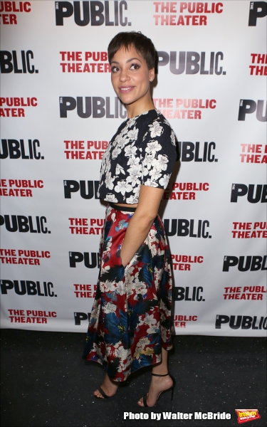 Photo Coverage: Inside Opening Night of JOSEPHINE AND I at the Public Theater Image