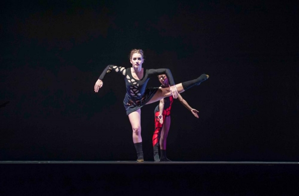 Photo Flash: Sneak Peek at NIU's THE NORTHERN STARS OF DANCE Concert Image