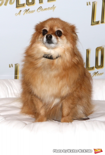 Photo Coverage: Meet the Company of Broadway's LIVING ON LOVE- Renée Fleming & More! Image