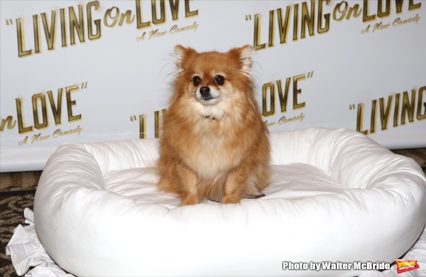 Photo Coverage: Meet the Company of Broadway's LIVING ON LOVE- Renée Fleming & More! Image