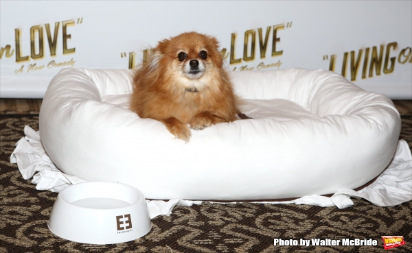 Photo Coverage: Meet the Company of Broadway's LIVING ON LOVE- Renée Fleming & More! Image