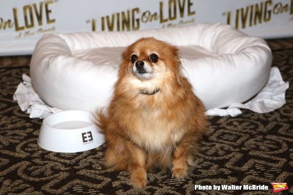 Photo Coverage: Meet the Company of Broadway's LIVING ON LOVE- Renée Fleming & More! Image