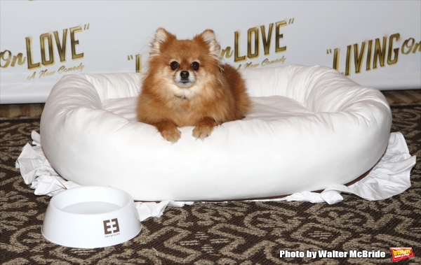 Photo Coverage: Meet the Company of Broadway's LIVING ON LOVE- Renée Fleming & More! Image