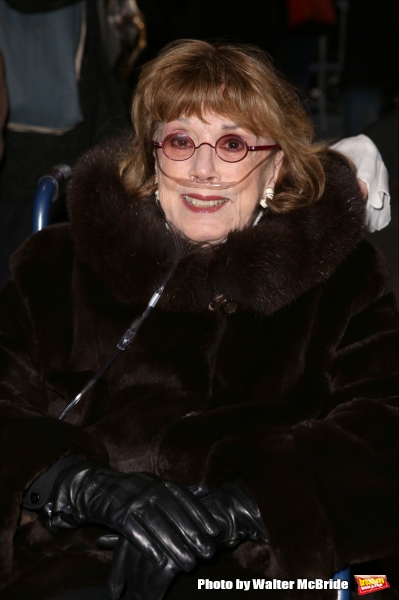 Photo Coverage: Inside ON THE TWENTIETH CENTURY's Opening Night Theatre Arrivals! Image