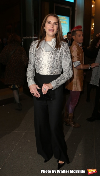 Photo Coverage: Inside ON THE TWENTIETH CENTURY's Opening Night Theatre Arrivals! Image