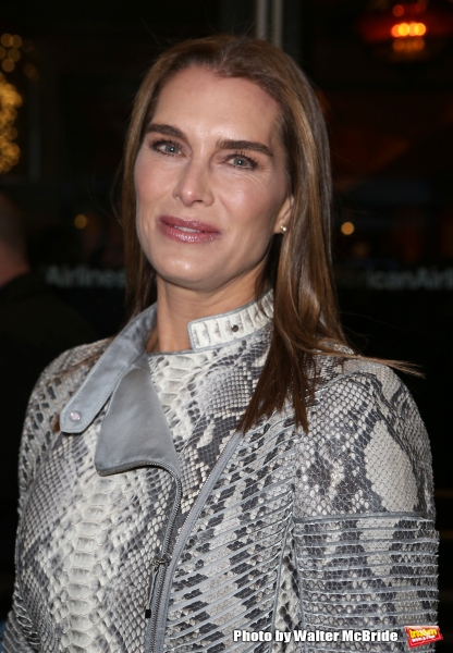 Photo Coverage: Inside ON THE TWENTIETH CENTURY's Opening Night Theatre Arrivals! Image