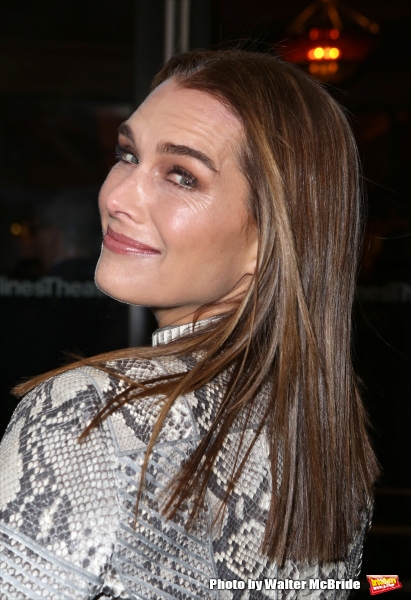 Photo Coverage: Inside ON THE TWENTIETH CENTURY's Opening Night Theatre Arrivals! Image