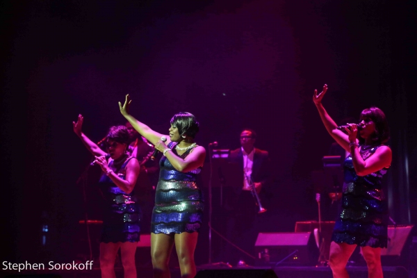 Photo Coverage: MOTOWN IN MOTION at Lynn University's LIVE AT LYNN Image