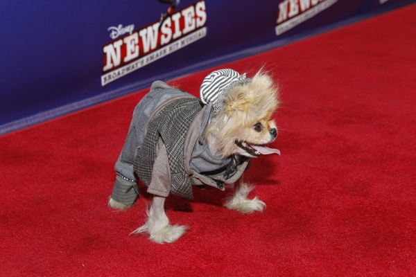 Photo Flash: Alan Menken, Jack Feldman, Jeff Calhoun and More Celebrate NEWSIES Opening in Los Angeles Image