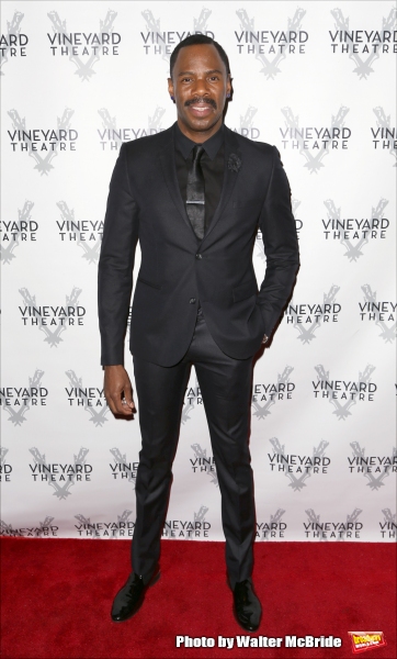 Photo Coverage: On the Red Carpet for Vineyard Theatre's 2015 Gala, Honoring Margo Lion Image