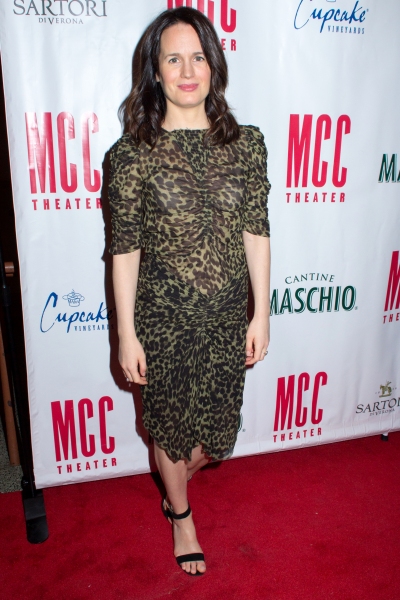 Photo Coverage: Broadway Gets MISCAST! On the Red Carpet for MCC'S 2015 Gala, Honoring Sarah Paulson and Fran Weissler Image