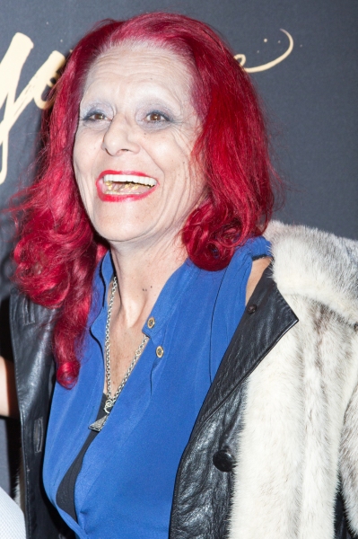 Photo Coverage: Inside the YOUNGER Premiere with Sutton Foster, Hilary Duff, Debi Mazar, Miriam Shor and More! Image