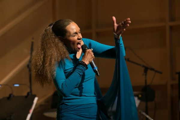Photo Flash: Norm Lewis, Danny Holgate, Vivian Reed and More at 2015 Amas Musical Theatre Gala Image
