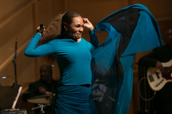 Photo Flash: Norm Lewis, Danny Holgate, Vivian Reed and More at 2015 Amas Musical Theatre Gala Image