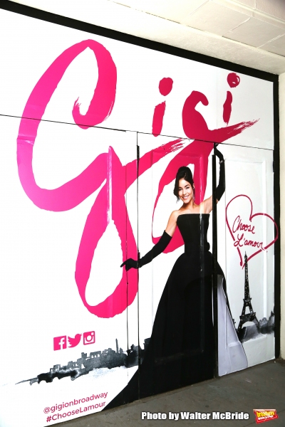 Photo Coverage: On the Carpet at GIGI's Opening Night! Image
