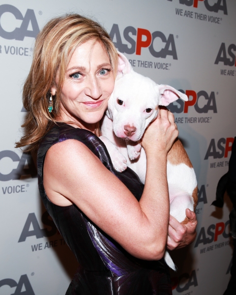 Photo Flash: Patina Miller, Edie Falco, Deborah Cox and More Attend 2015 ASPCA Bergh Ball Image