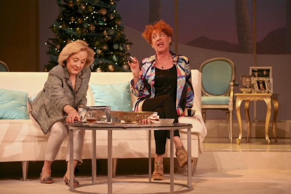 Photo Flash: First Look- Syracuse Stage's OTHER DESERT CITIES Image