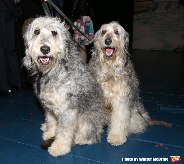 Exclusive Photo Coverage: Inside the FINDING NEVERLAND Gypsy Robe Ceremony!  Image