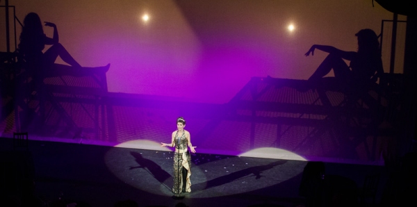 Photo Flash: First Look- FOLLIES at Milburn Stone Theatre Image
