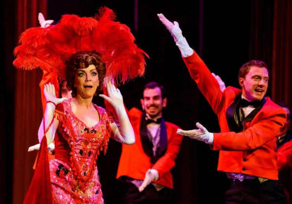 Photo Flash: First Look at Andrea McArdle in Media Theatre's HELLO DOLLY Image