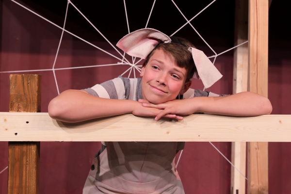Photo Flash: Sneak Peek at DM Playhouse's CHARLOTTE'S WEB Image