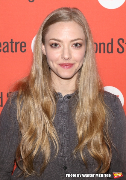 Photo Coverage: Meet the Cast of THE WAY WE GET BY - Amanda Seyfried, Thomas Sadoski and More Image