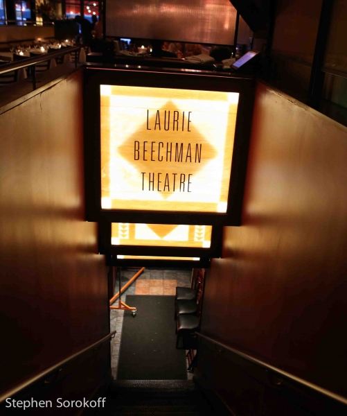 Photo Coverage: Carolyn Montgomery-Forant Brings 'Visible Phoenix' to The Laurie Beechman Theatre Image