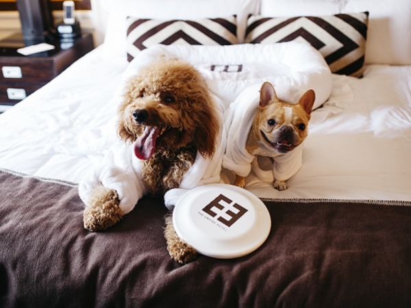 Photo Flash: Sutton Foster's Pup and More Featured for BarkBox at The Empire Hotel 