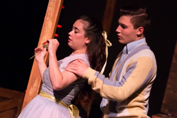 Photo Coverage: First Look at Standing Room Only's THE FANTASTICS Image