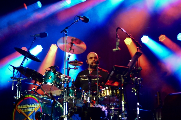 Photo Coverage: BARENAKED LADIES, VIOLENT FEMMES and Colin Hay Image