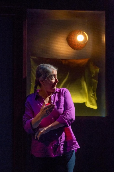 Photo Flash: First Look at Alice Eve Cohen in THIN WALLS at Kitchen Theatre Image