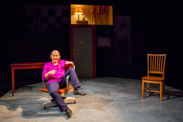 Photo Flash: First Look at Alice Eve Cohen in THIN WALLS at Kitchen Theatre Image
