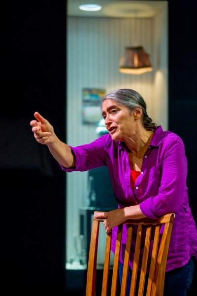 Photo Flash: First Look at Alice Eve Cohen in THIN WALLS at Kitchen Theatre Image