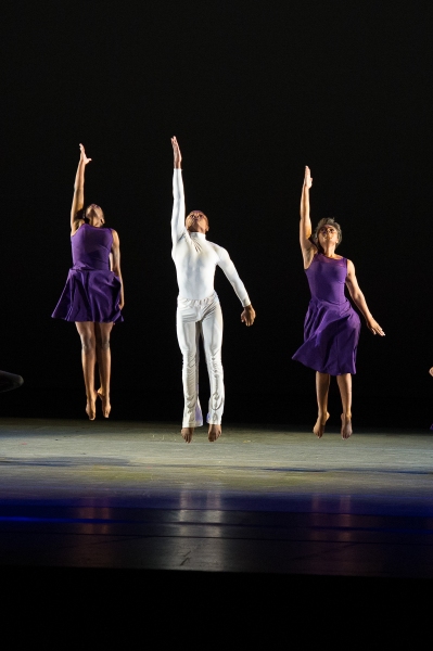 Photo Flash: Tyson Beckford, Taye Diggs, Tituss Burgess and More Attend 2015 Ailey Spirit Gala Image
