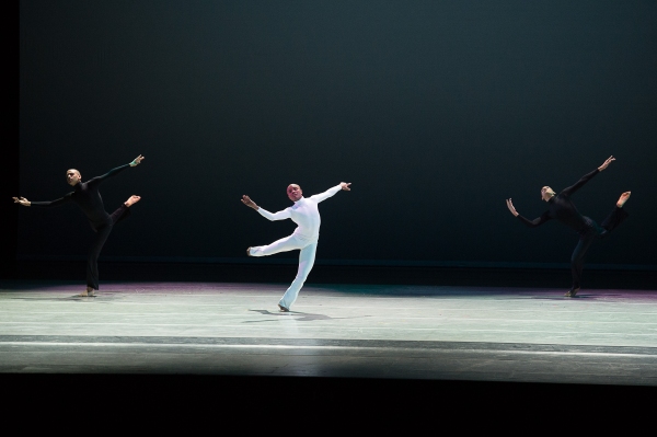 Photo Flash: Tyson Beckford, Taye Diggs, Tituss Burgess and More Attend 2015 Ailey Spirit Gala Image