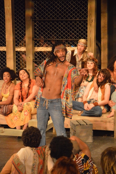 Photo Flash: First Look at Playhouse on Park's HAIR Image