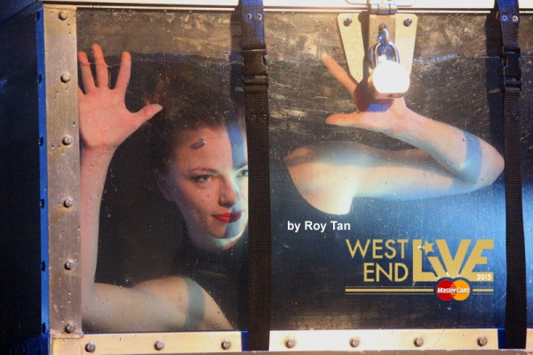 Photo Flash: Sneak Peek at WEST END LIVE 2015 Image