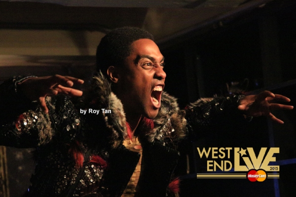 Photo Flash: Sneak Peek at WEST END LIVE 2015 Image