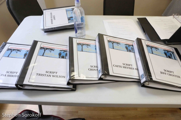 Photo Coverage: In Rehearsal for Barrington Stage Company's A LITTLE MORE ALIVE Image