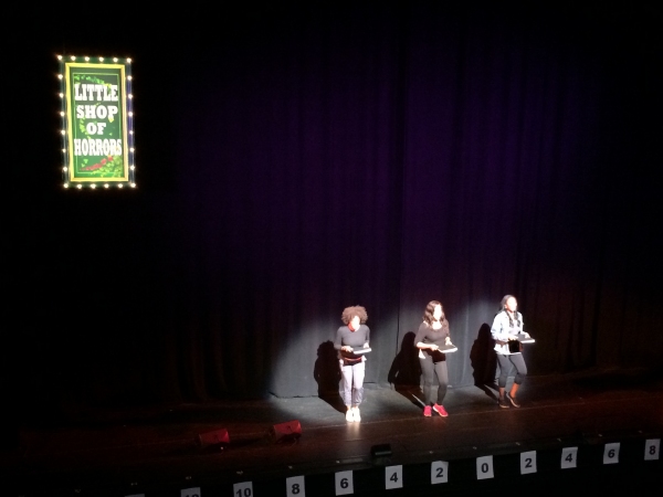 BWW Exclusive: Dick Scanlan Takes Us Behind the Scenes of Encores! Off-Center's Epic LITTLE SHOP OF HORRORS!  Image