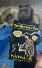Photo Flash: Movie Star Monkey Supports Unbound's THE MONKEY'S PAW Image
