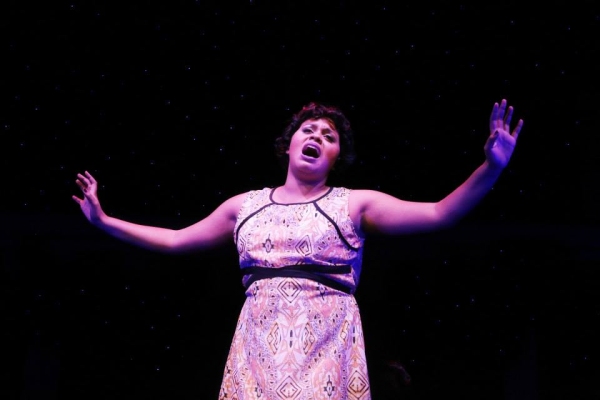 Photo Flash: First Look at Brittany Walters, Alexis Sims, Dorian McCorey, & More in Theatre Raleigh's DREAMGIRLS Directed by Lauren Kennedy Image